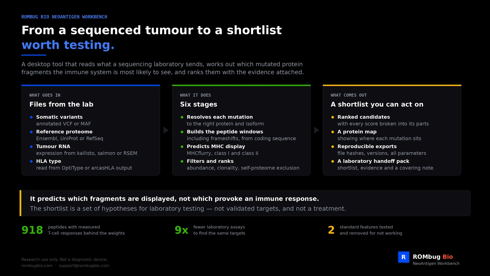 How the NeoAntigen Workbench works: files from the sequencing laboratory go in, six processing stages run, and a ranked shortlist with supporting evidence comes out.