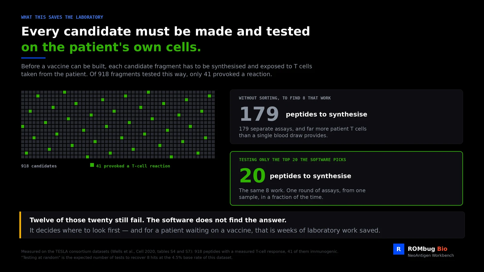 Why ranking helps: of 918 candidate fragments measured, 41 provoked a T-cell reaction. Testing at random would take 179 synthesised peptides to find 8 that work; testing the top 20 the software picks finds the same 8.
